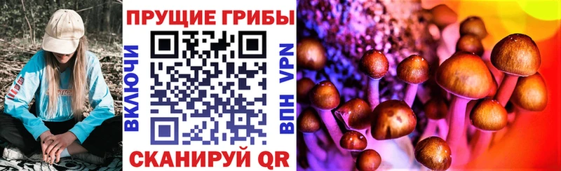 купить   Валуйки  Галлюциногенные грибы ЛСД 
